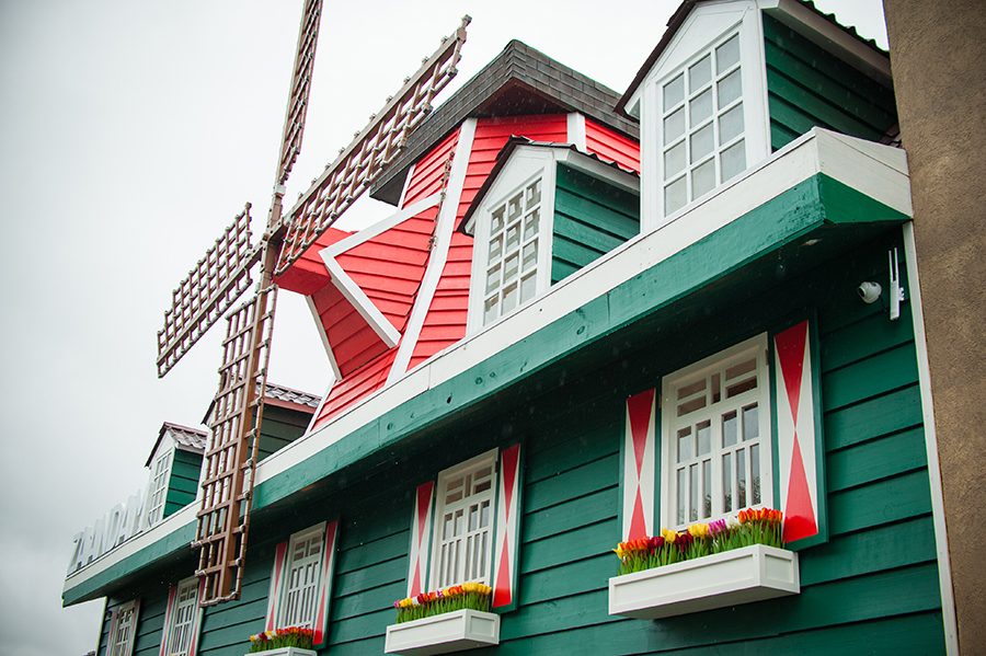 Zaandam