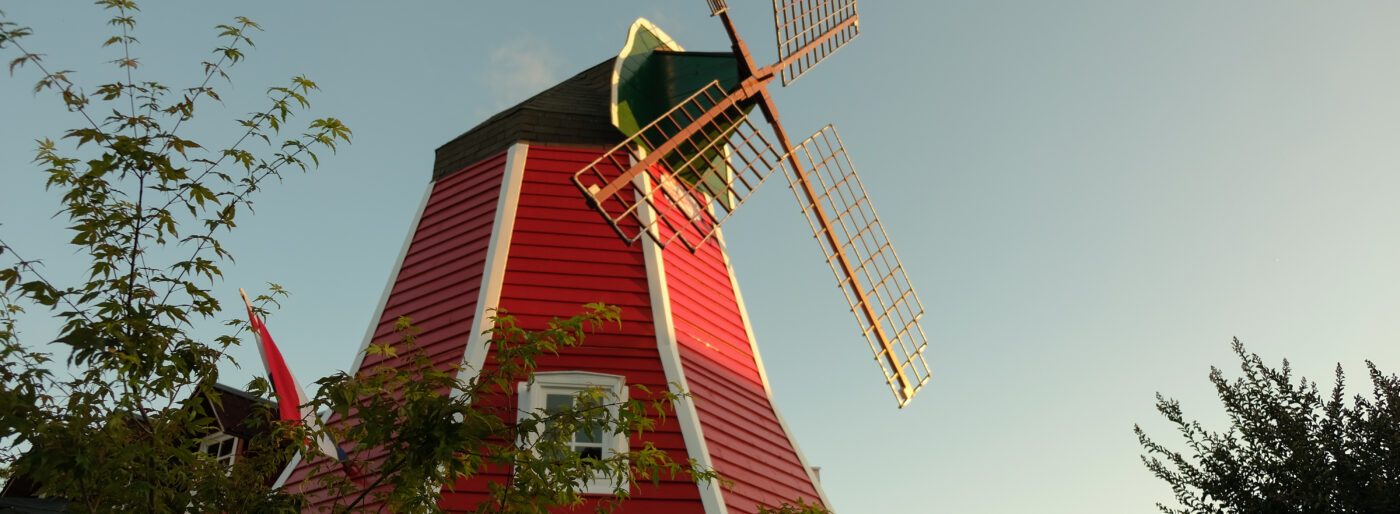 Zaandam